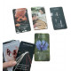 Карти передбачення: Приховані секрети серця - Prediction Cards: Hidden Secrets Of The Heart. China