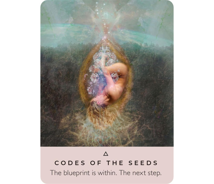 Кишеньковий Оракул Троянди - The Rose Pocket Oracle. Hay House
