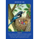 Таро Животных-Проводников - Animal Guides Tarot. Hay House