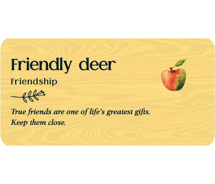 Послання Лісових Друзів - Forest Friends: Positive inspiration from the animal kingdom. Rockpool Publishing