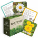 Карточки-визитки аптекаря - Apothecary Flashcards Cards. Rockpool Publishing