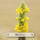 Карточки-визитки аптекаря - Apothecary Flashcards Cards. Rockpool Publishing