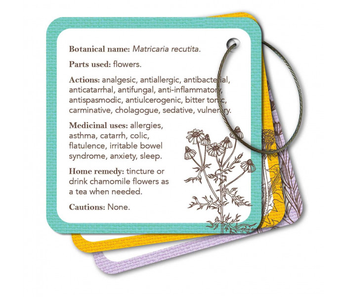 Карточки-визитки аптекаря - Apothecary Flashcards Cards. Rockpool Publishing