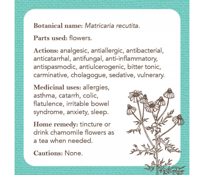 Карточки-визитки аптекаря - Apothecary Flashcards Cards. Rockpool Publishing