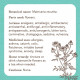 Карточки-визитки аптекаря - Apothecary Flashcards Cards. Rockpool Publishing