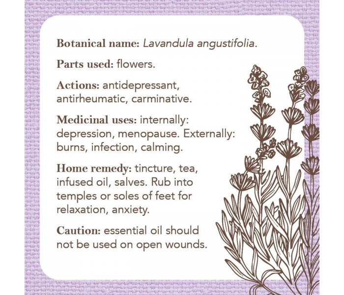 Карточки-визитки аптекаря - Apothecary Flashcards Cards. Rockpool Publishing
