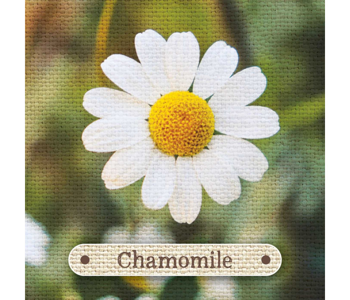 Карточки-визитки аптекаря - Apothecary Flashcards Cards. Rockpool Publishing