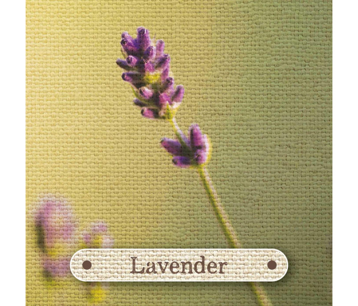 Карточки-визитки аптекаря - Apothecary Flashcards Cards. Rockpool Publishing
