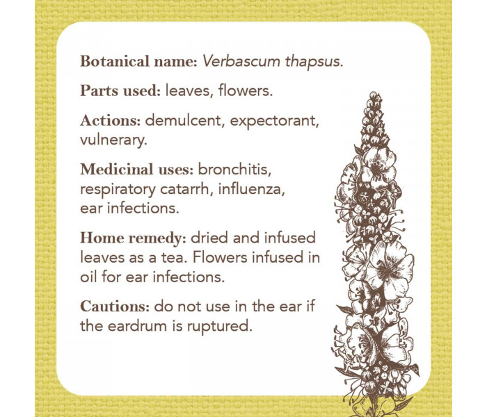 Карточки-визитки аптекаря - Apothecary Flashcards Cards. Rockpool Publishing