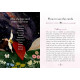 Оракул Литы. Времена года ведьмы - Seasons of the Witch. Litha Oracle Cards. Rockpool Publishing