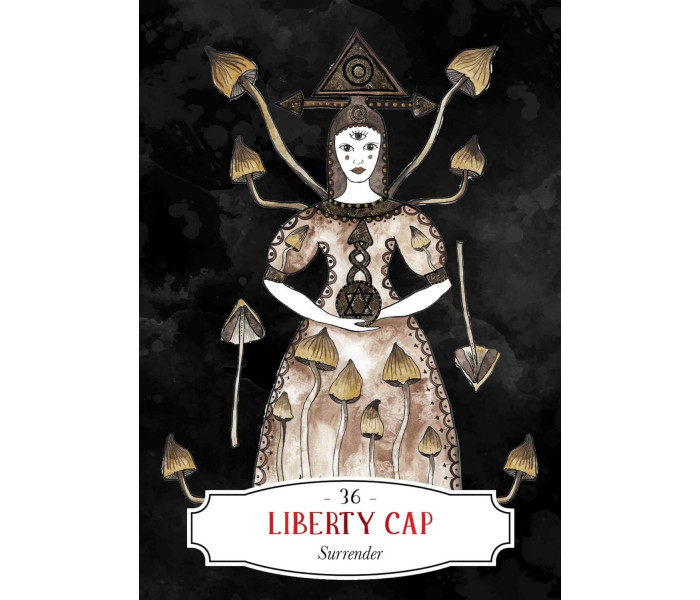 Оракул Смертоносного Аптекаря - Deadly Apothecary Oracle. Rockpool Publishing