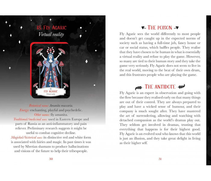 Оракул Смертоносного Аптекаря - Deadly Apothecary Oracle. Rockpool Publishing