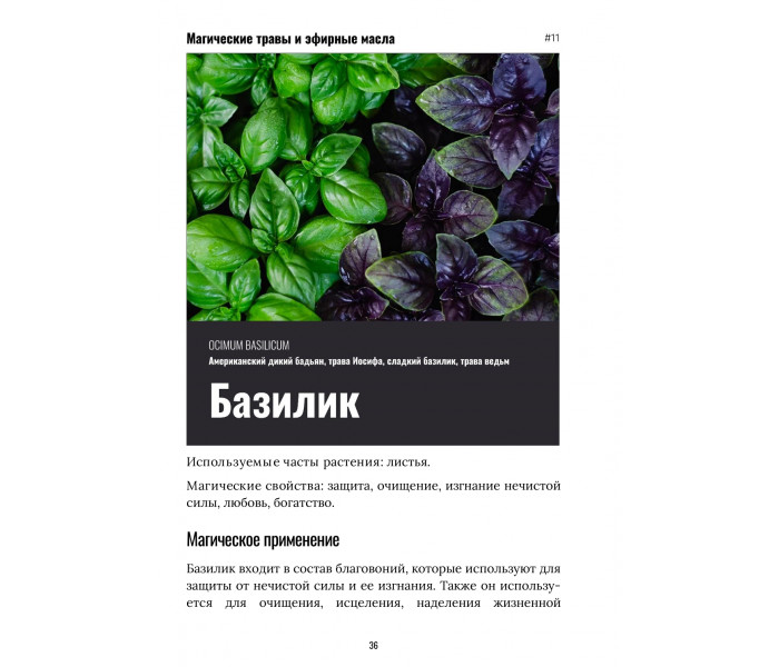 Руководство по использованию трав и эфирных масел в ритуалах. (РУС)