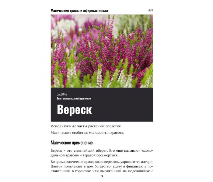 Руководство по использованию трав и эфирных масел в ритуалах. (РУС)
