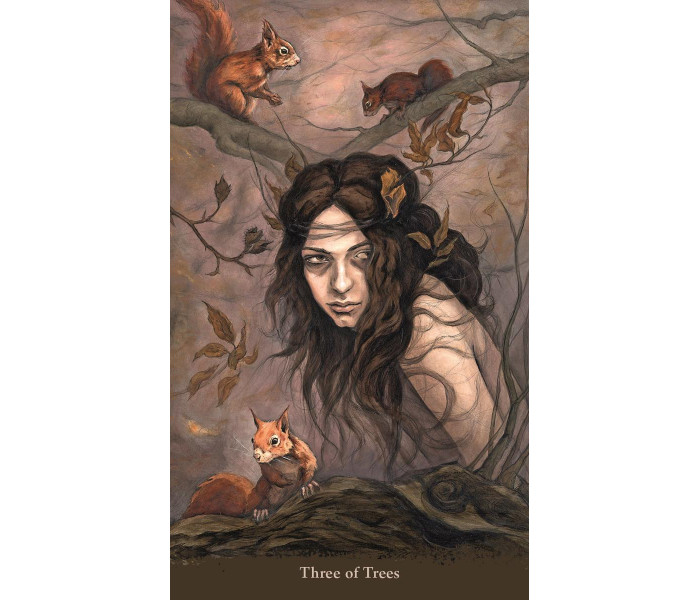 Таро Сестер-Відьом - Witch Sister Tarot. Llewellyn