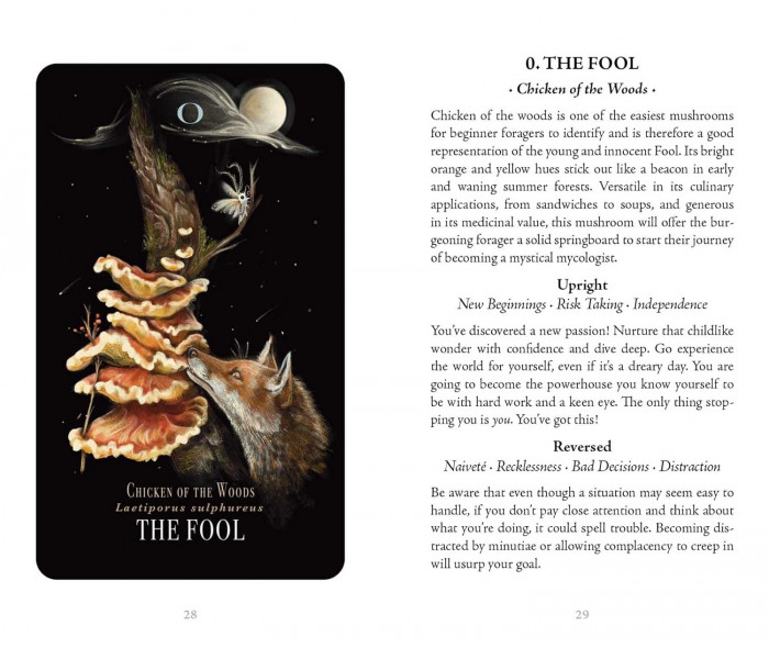 Опівнічна Магія: Колода Карт Таро З Грибами - Midnight Magic: A Tarot Deck of Mushrooms Cards.  Adams Media