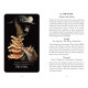 Опівнічна Магія: Колода Карт Таро З Грибами - Midnight Magic: A Tarot Deck of Mushrooms Cards.  Adams Media