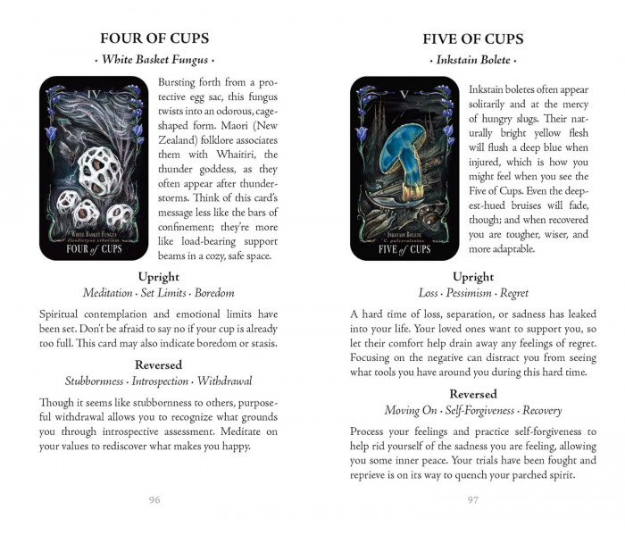 Опівнічна Магія: Колода Карт Таро З Грибами - Midnight Magic: A Tarot Deck of Mushrooms Cards.  Adams Media
