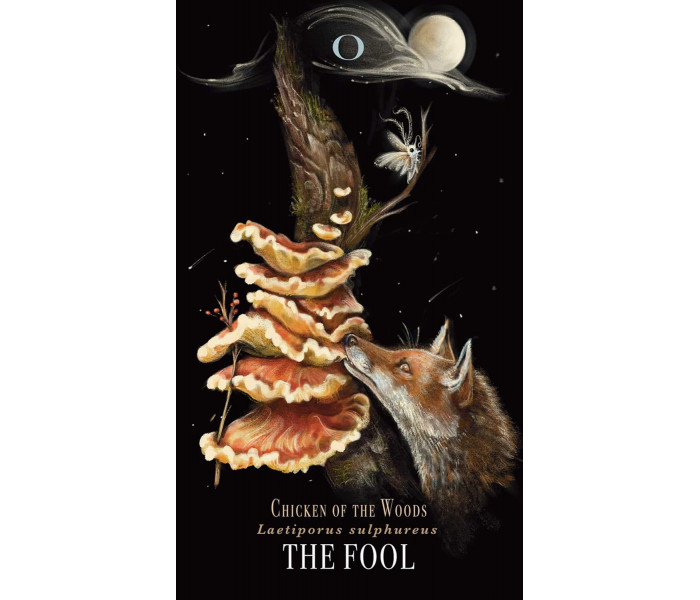 Опівнічна Магія: Колода Карт Таро З Грибами - Midnight Magic: A Tarot Deck of Mushrooms Cards.  Adams Media