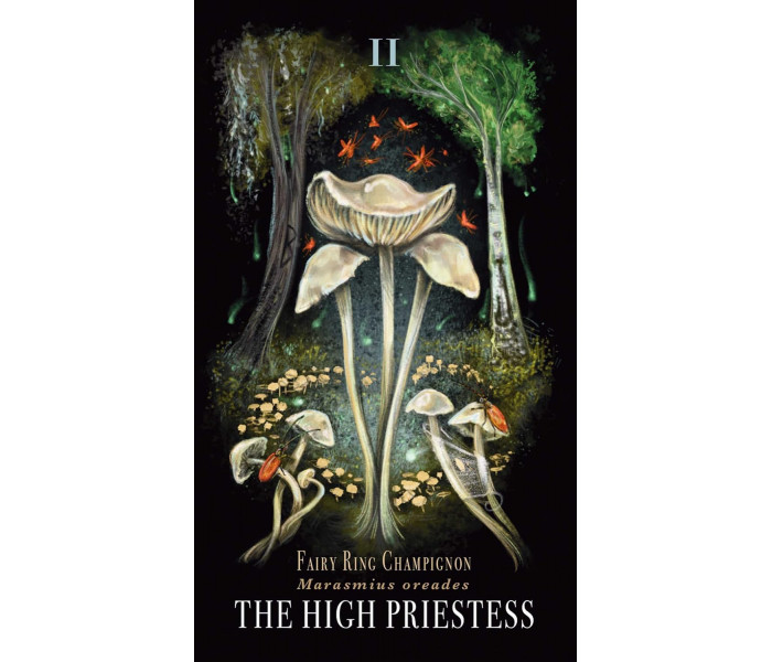 Опівнічна Магія: Колода Карт Таро З Грибами - Midnight Magic: A Tarot Deck of Mushrooms Cards.  Adams Media