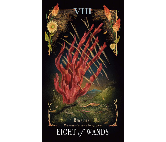 Опівнічна Магія: Колода Карт Таро З Грибами - Midnight Magic: A Tarot Deck of Mushrooms Cards.  Adams Media