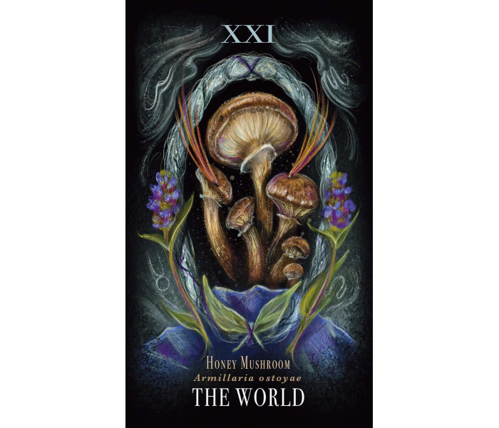 Опівнічна Магія: Колода Карт Таро З Грибами - Midnight Magic: A Tarot Deck of Mushrooms Cards.  Adams Media