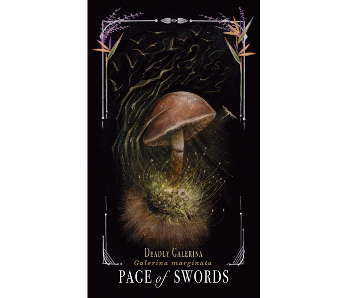 Опівнічна Магія: Колода Карт Таро З Грибами - Midnight Magic: A Tarot Deck of Mushrooms Cards.  Adams Media