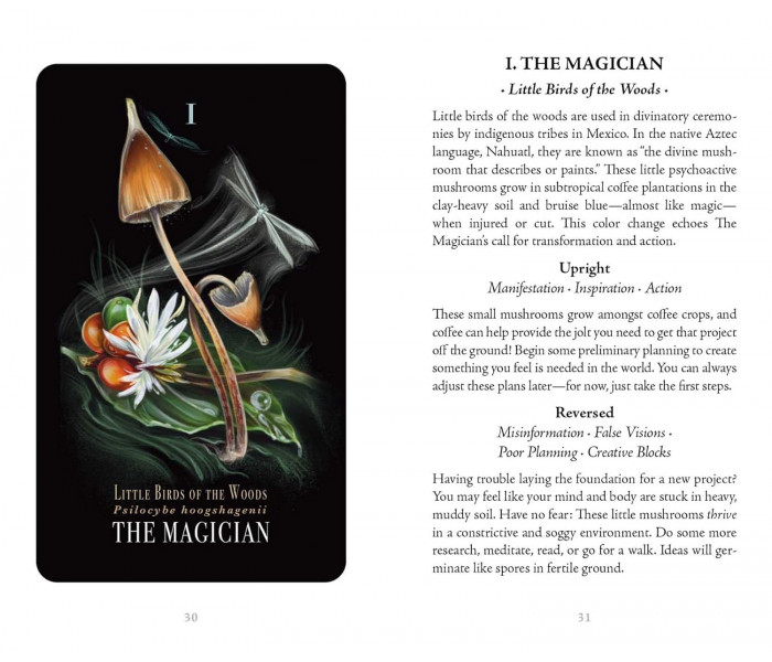 Опівнічна Магія: Колода Карт Таро З Грибами - Midnight Magic: A Tarot Deck of Mushrooms Cards.  Adams Media