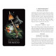 Опівнічна Магія: Колода Карт Таро З Грибами - Midnight Magic: A Tarot Deck of Mushrooms Cards.  Adams Media
