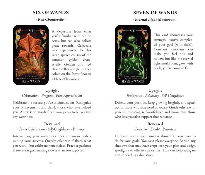 Опівнічна Магія: Колода Карт Таро З Грибами - Midnight Magic: A Tarot Deck of Mushrooms Cards.  Adams Media