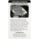 Карти Кришталевих Благословень - Crystal Blessing Cards. US Games Systems