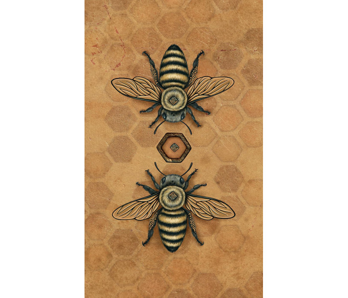 Бджолиний Набір Таро - Bee Tarot Set. Llewellyn