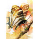 Карти з перетвореннями метеликів (2-ге видання) - Butterfly Transformations Cards(2nd Edition). Blue Angel
