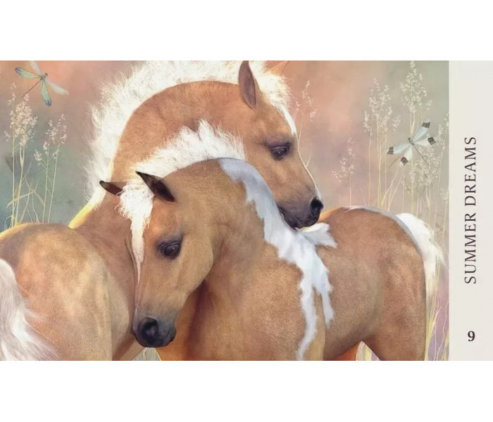 Оракул Мудрість Коня - Horse Wisdom Oracle Cards. Blue Angel