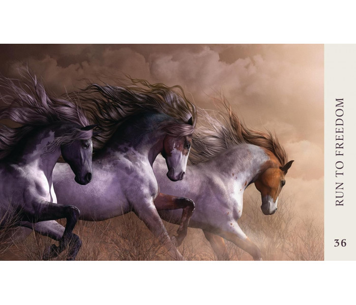 Оракул Мудрість Коня - Horse Wisdom Oracle Cards. Blue Angel