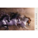 Оракул Мудрість Коня - Horse Wisdom Oracle Cards. Blue Angel