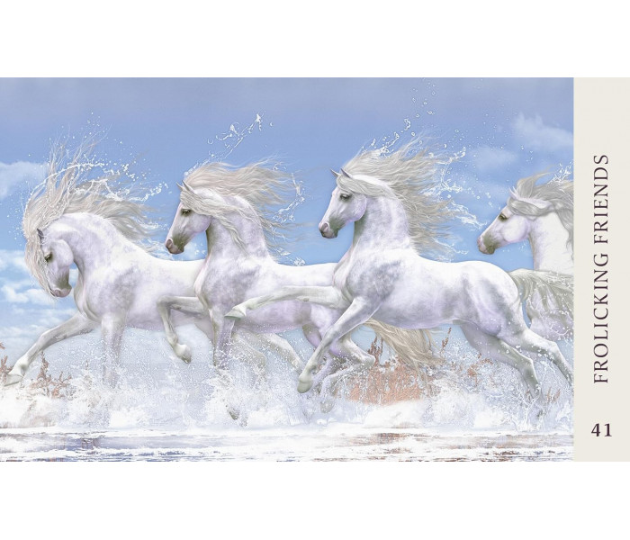Оракул Мудрість Коня - Horse Wisdom Oracle Cards. Blue Angel