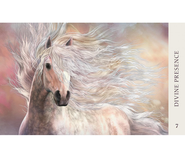 Оракул Мудрість Коня - Horse Wisdom Oracle Cards. Blue Angel