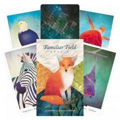 Оракул Знайомих Полів - Familiar Field Oracle Cards. U.S. Games Systems