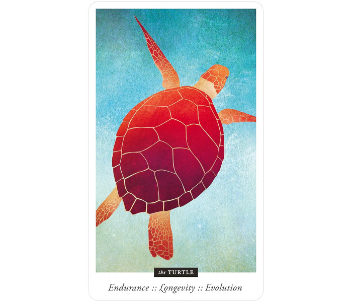 Оракул Знайомих Полів - Familiar Field Oracle Cards. U.S. Games Systems
