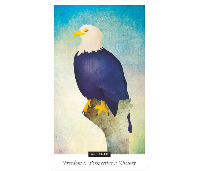 Оракул Знайомих Полів - Familiar Field Oracle Cards. U.S. Games Systems