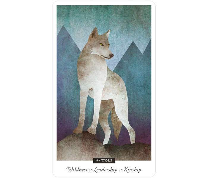 Оракул Знайомих Полів - Familiar Field Oracle Cards. U.S. Games Systems