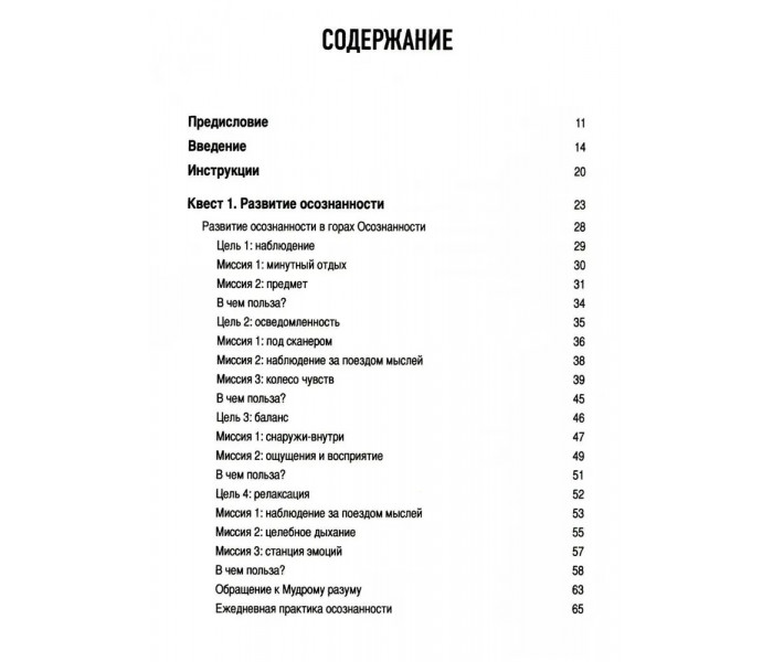 Рабочая тетрадь по навыкам ДПТ для подростков. Thrive Teen