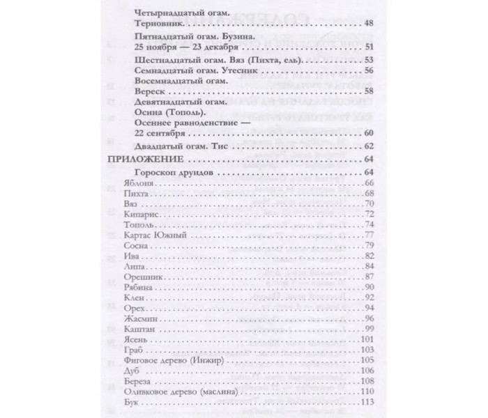 Книга Гадание на ирландских рунах. Огам (8562)