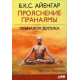Книга Прояснение Пранаямы. Пранаяма Дипика. Айенгар Беллур (5338)