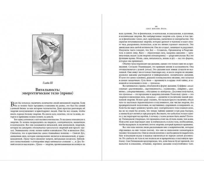 Книга Свет жизни: Йога. Айенгар Беллур (5370)