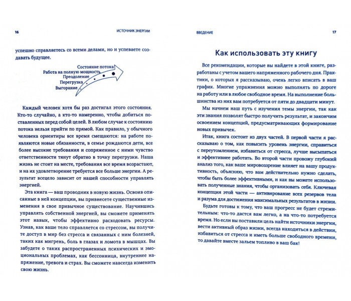 Книга Джерело енергії. Як увімкнути приховані резерви організму і зберігати бадьорість весь день. Деніел Брауні