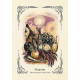 Оракул Зеленої Відьми - The Green Witch's Oracle Deck. Adams Media