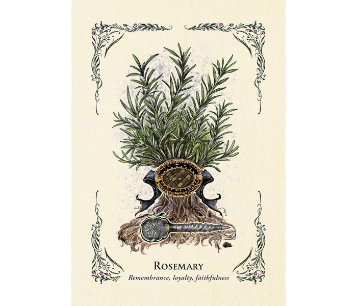 Оракул Зеленої Відьми - The Green Witch's Oracle Deck. Adams Media