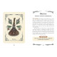 Оракул Зеленої Відьми - The Green Witch's Oracle Deck. Adams Media